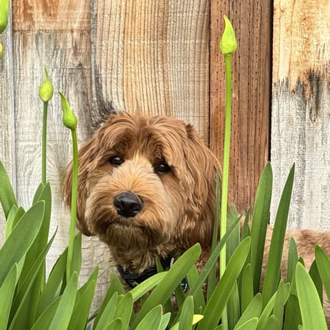 Camouflage: 2/10. Commitment: 10/10.