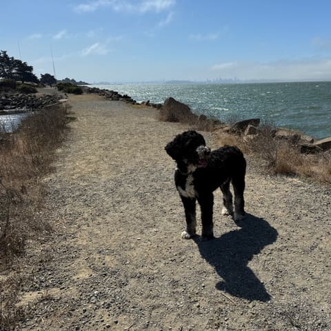 Photo of Charlie